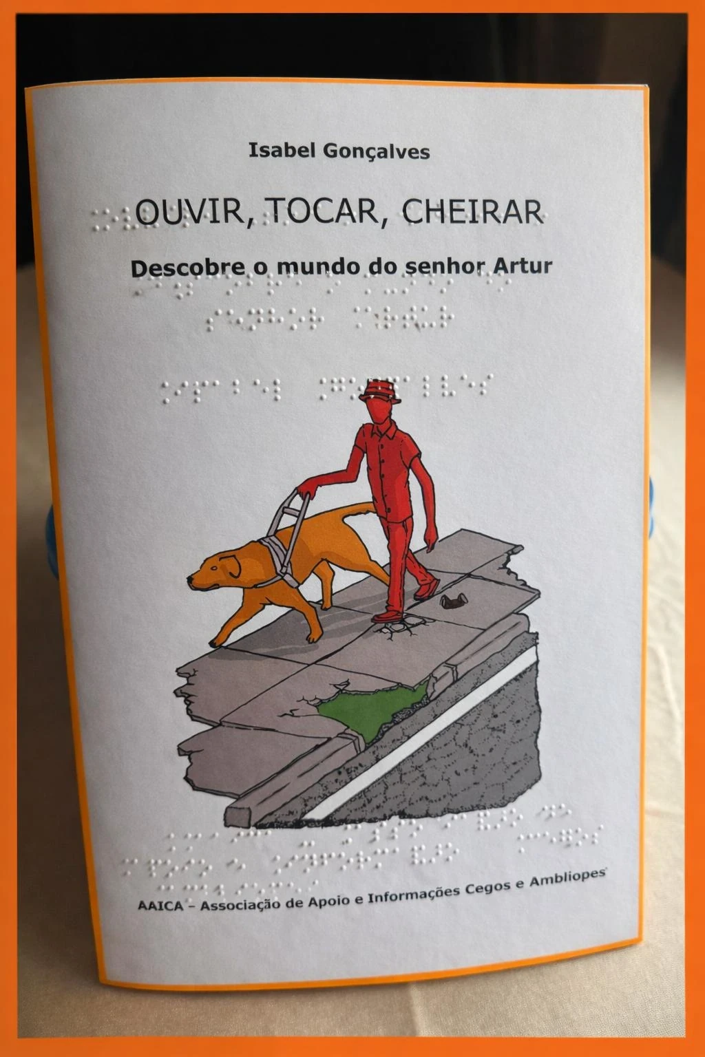 Versão em Braille do livro Ouvir, Tocar, Cheirar: Descobre o Mundo do Sr. Artur
